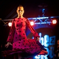 flamenco (76)